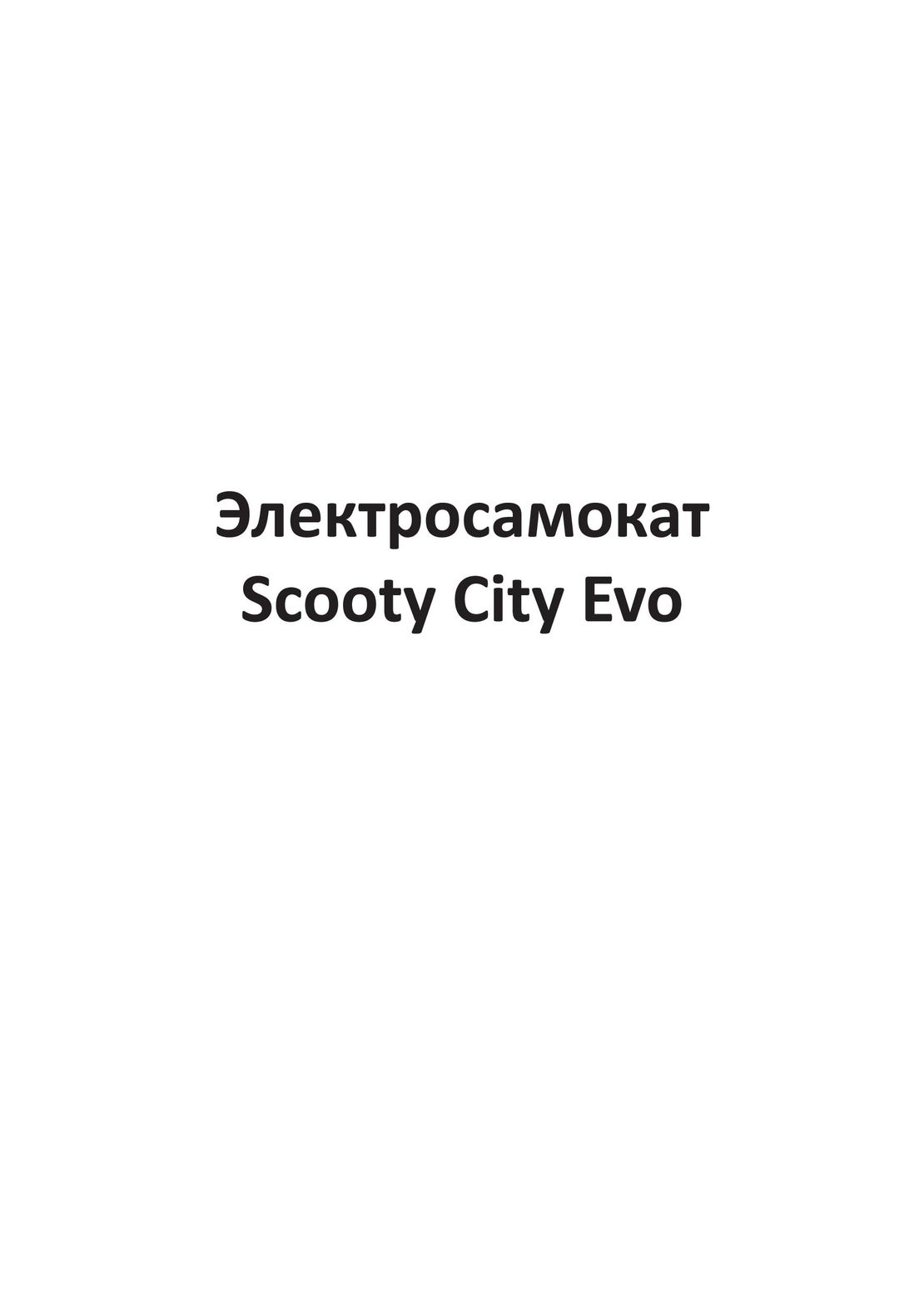 Scooty City Evo инструкция на русском